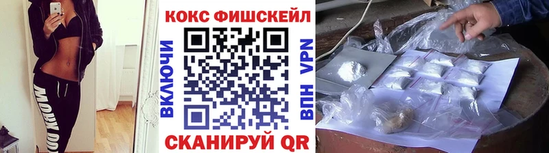 Кокаин Fish Scale  Купить закладки  Купино 