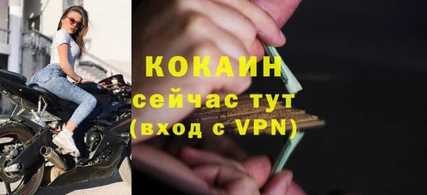 ГАЛЛЮЦИНОГЕННЫЕ ГРИБЫ Верея