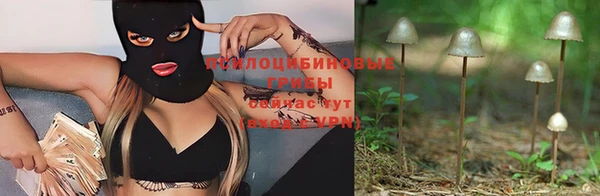гашик Верхнеуральск