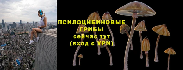 гашик Верхнеуральск