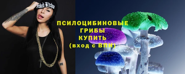 ГАЛЛЮЦИНОГЕННЫЕ ГРИБЫ Верхний Тагил
