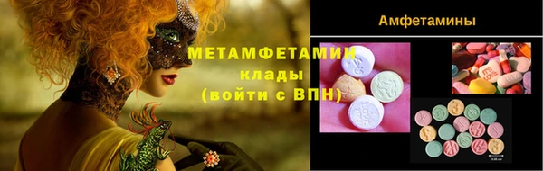 ГАЛЛЮЦИНОГЕННЫЕ ГРИБЫ Верея