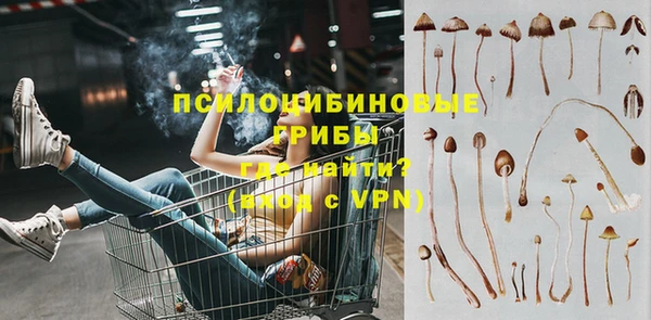 ГАЛЛЮЦИНОГЕННЫЕ ГРИБЫ Верея