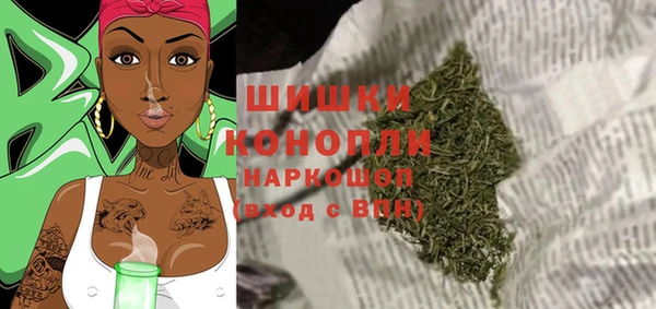 ГАЛЛЮЦИНОГЕННЫЕ ГРИБЫ Верея