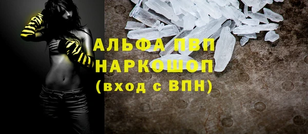 ГАЛЛЮЦИНОГЕННЫЕ ГРИБЫ Верея