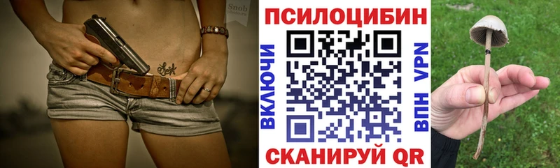Купить  Купино  Галлюциногенные грибы прущие грибы 