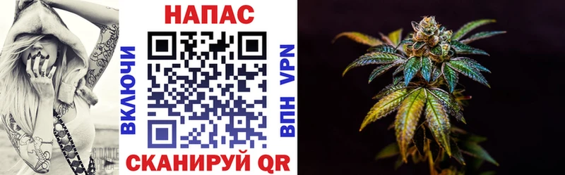 Купить закладки  Купино  Каннабис семена 